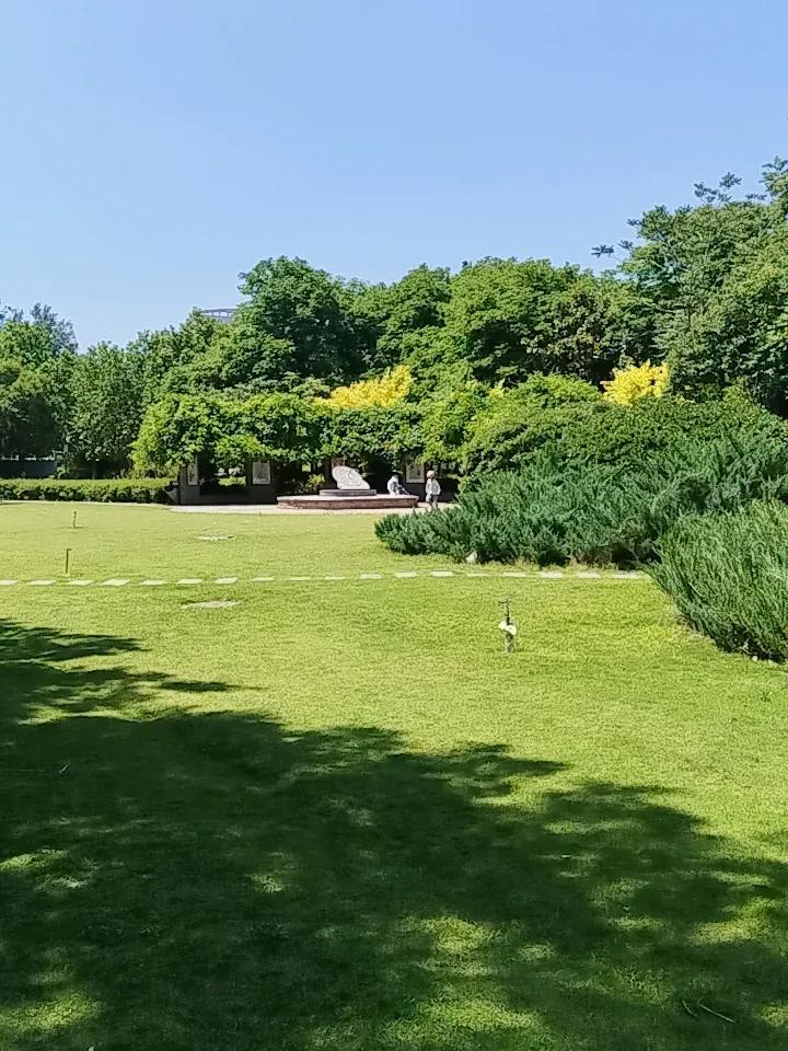 分享一下你随手拍下的照片