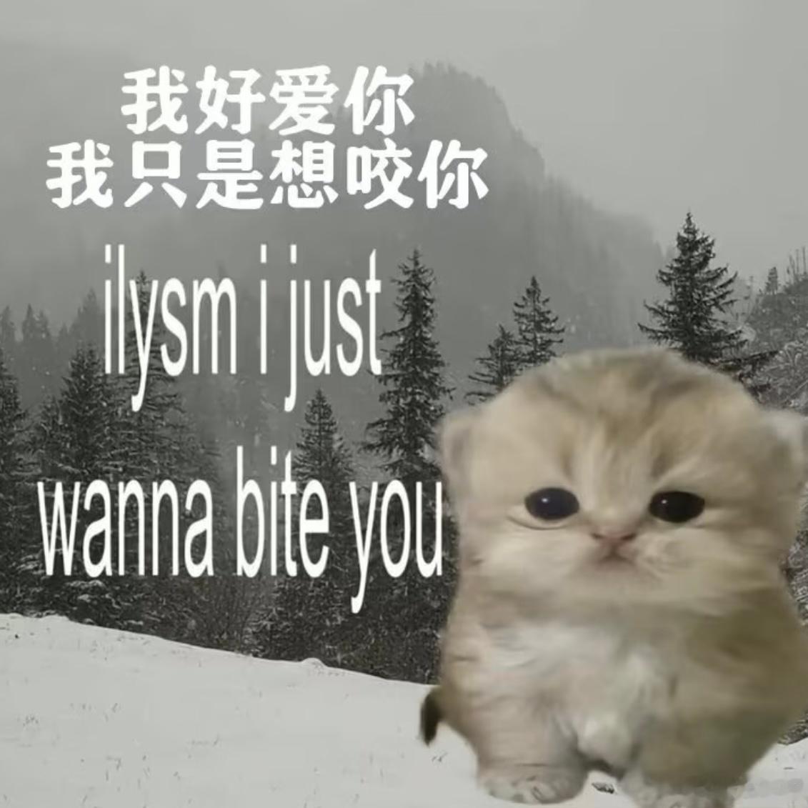 15437受概念