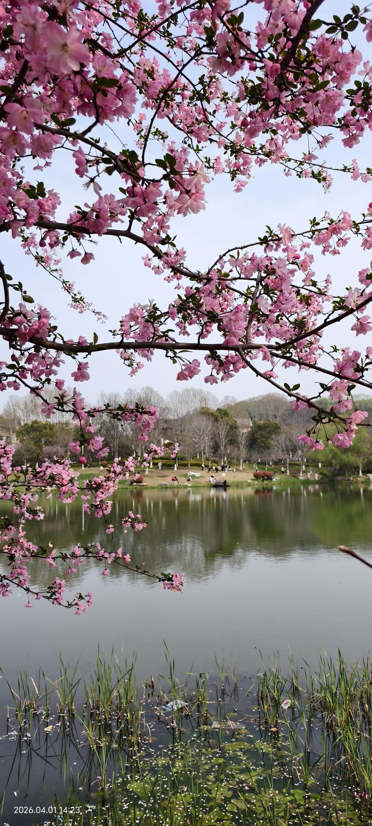 女儿不结婚急死人，结了婚就省心？过来人一句话道破真相

这边回老家做清明，碰到了