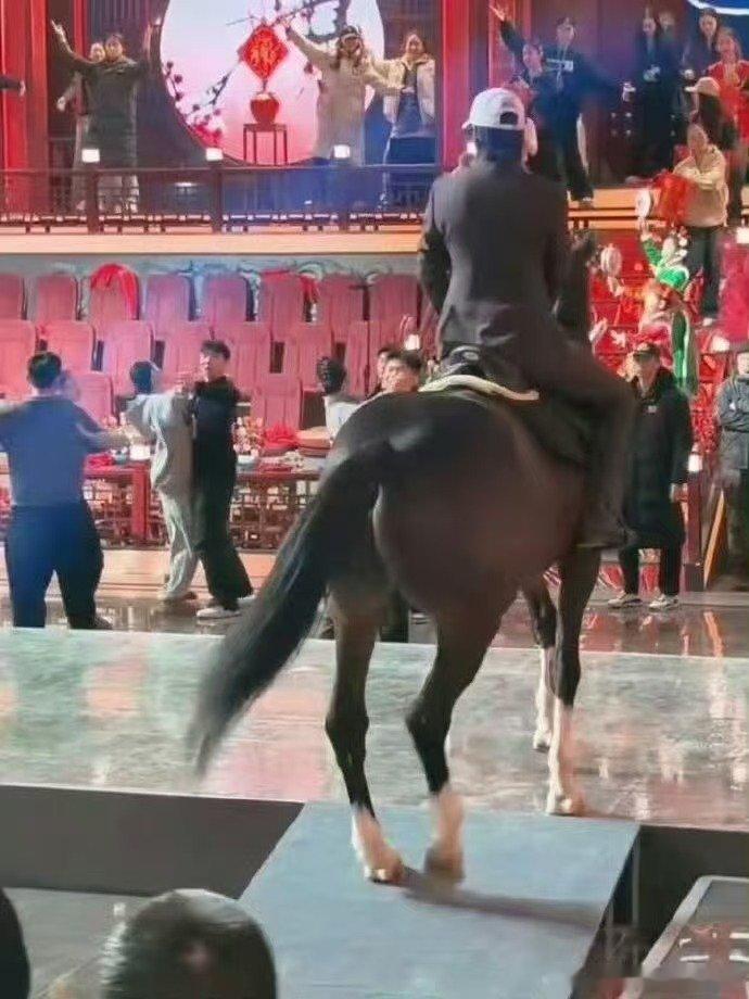 辽宁春晚倒计时直播辽宁春晚星光熠熠，大咖云集，2026 辽宁春晚值得全力奔赴 