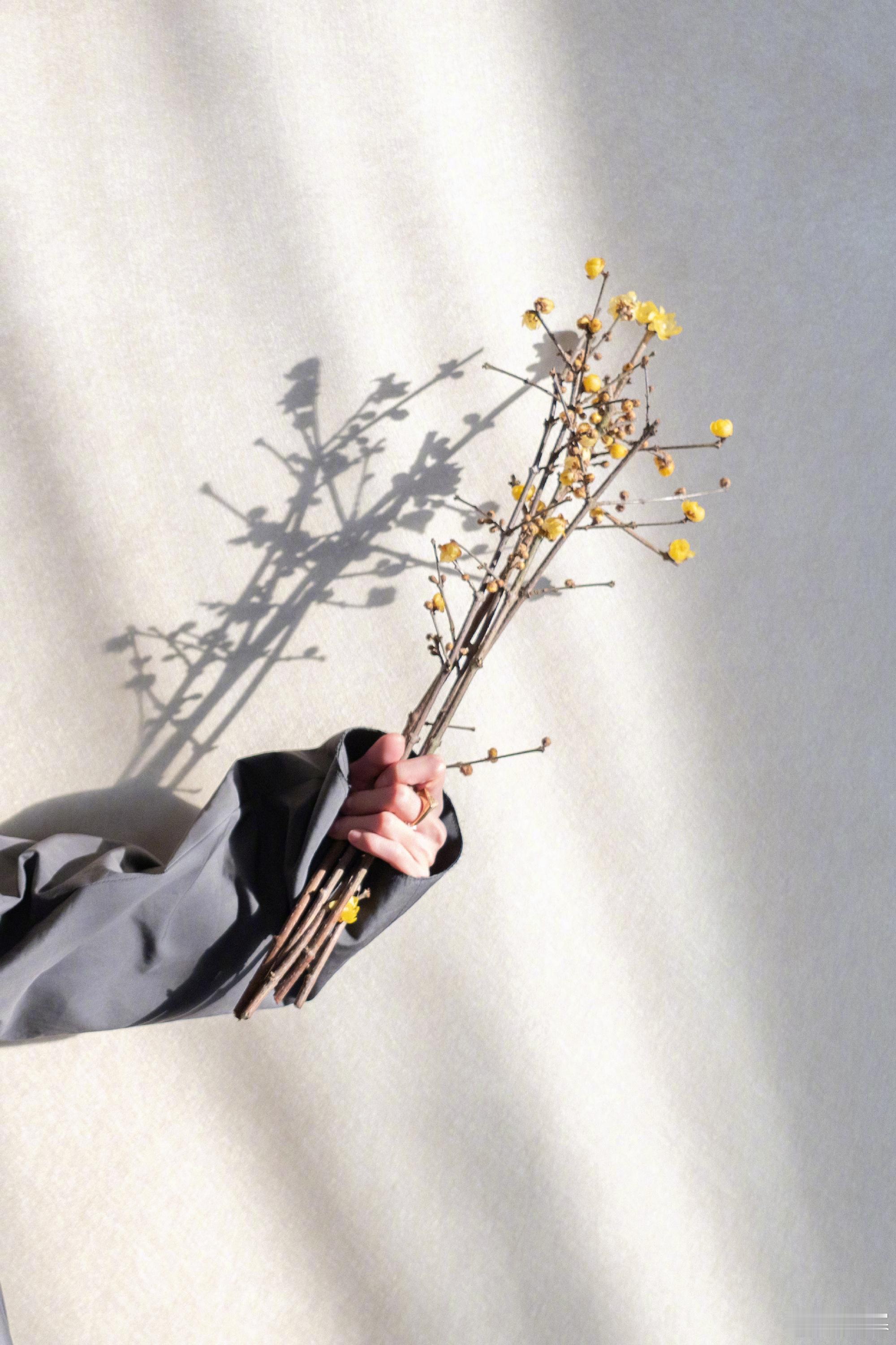 杨幂腊八节晒粥营业杨幂腊八节晒照啊啊啊啊啊杨幂腊八节晒粥营业啦腊八节3宫格照，看