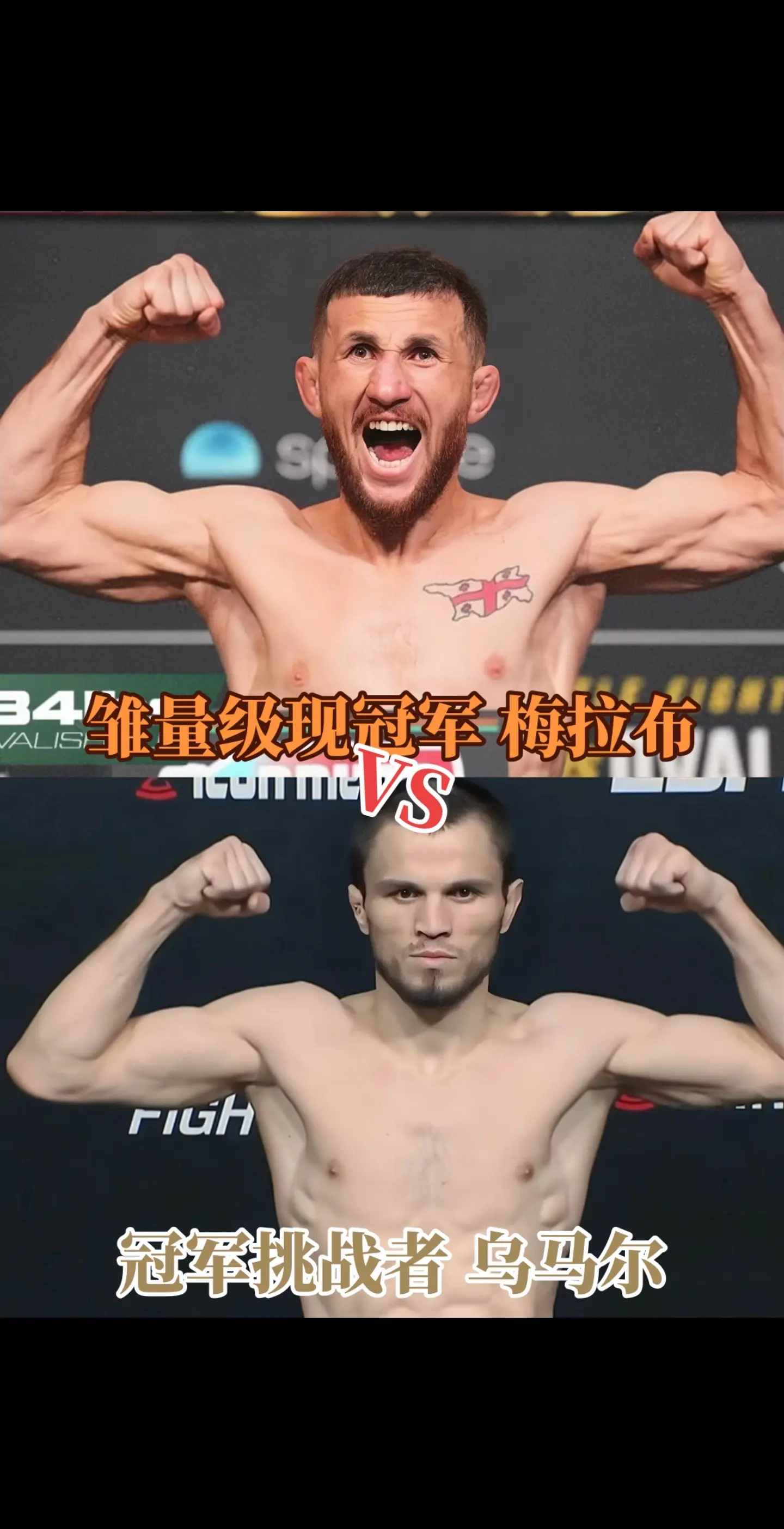 UFC311倒计时，达吉斯坦鹰队乌马尔、马哈切夫VS格鲁吉亚战队梅拉布...