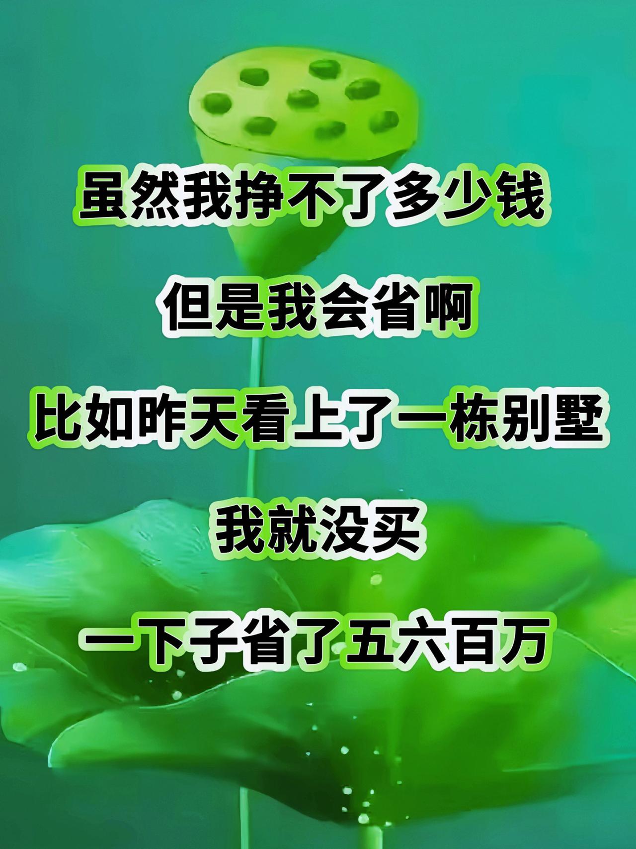 上热门上热搜 支持抖音传播正能量 抖音推广 知识分享