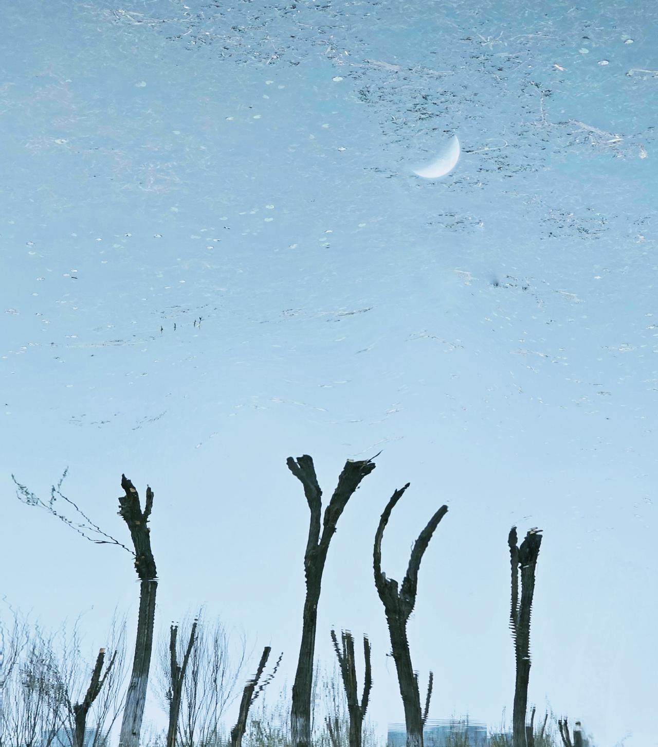 月光

      喝了一杯
黄昏的
           蓝调

湖边的
  