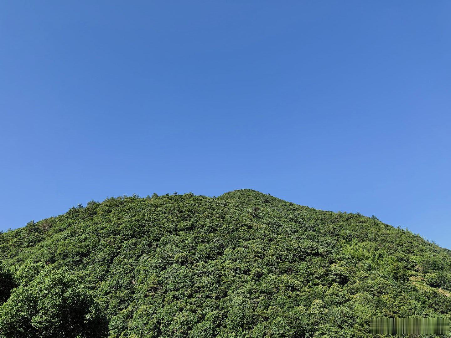 八一建军节 九九年，敬礼！ 