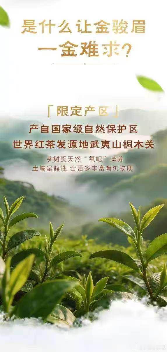 如何幸福地度过一周茶的传人地道茶香鲜如现泡一金难求的金骏眉周末约好友来家中小聚闲