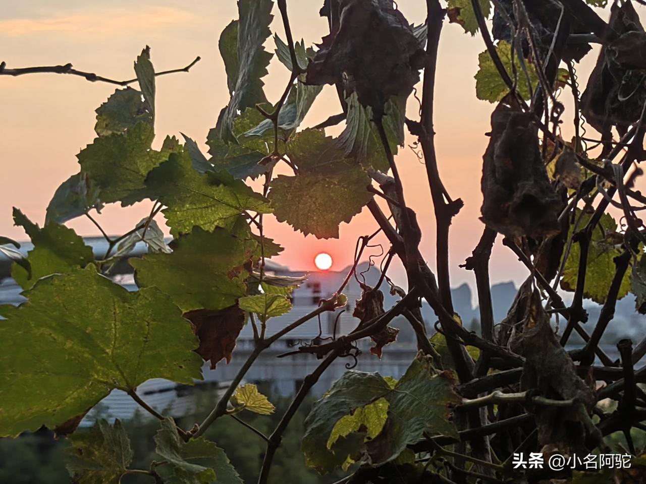 孤独书是友
热闹金为朋

书向来是求知者的茶品，书中自有自由世界，悲欢离合消解社