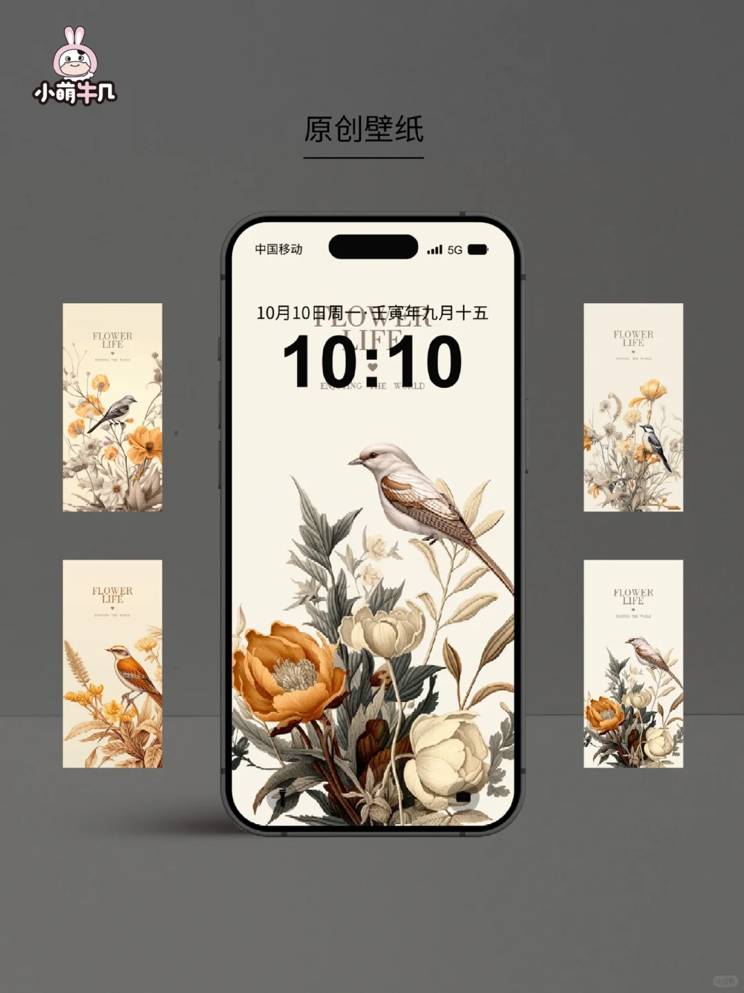 高级感鸟壁纸