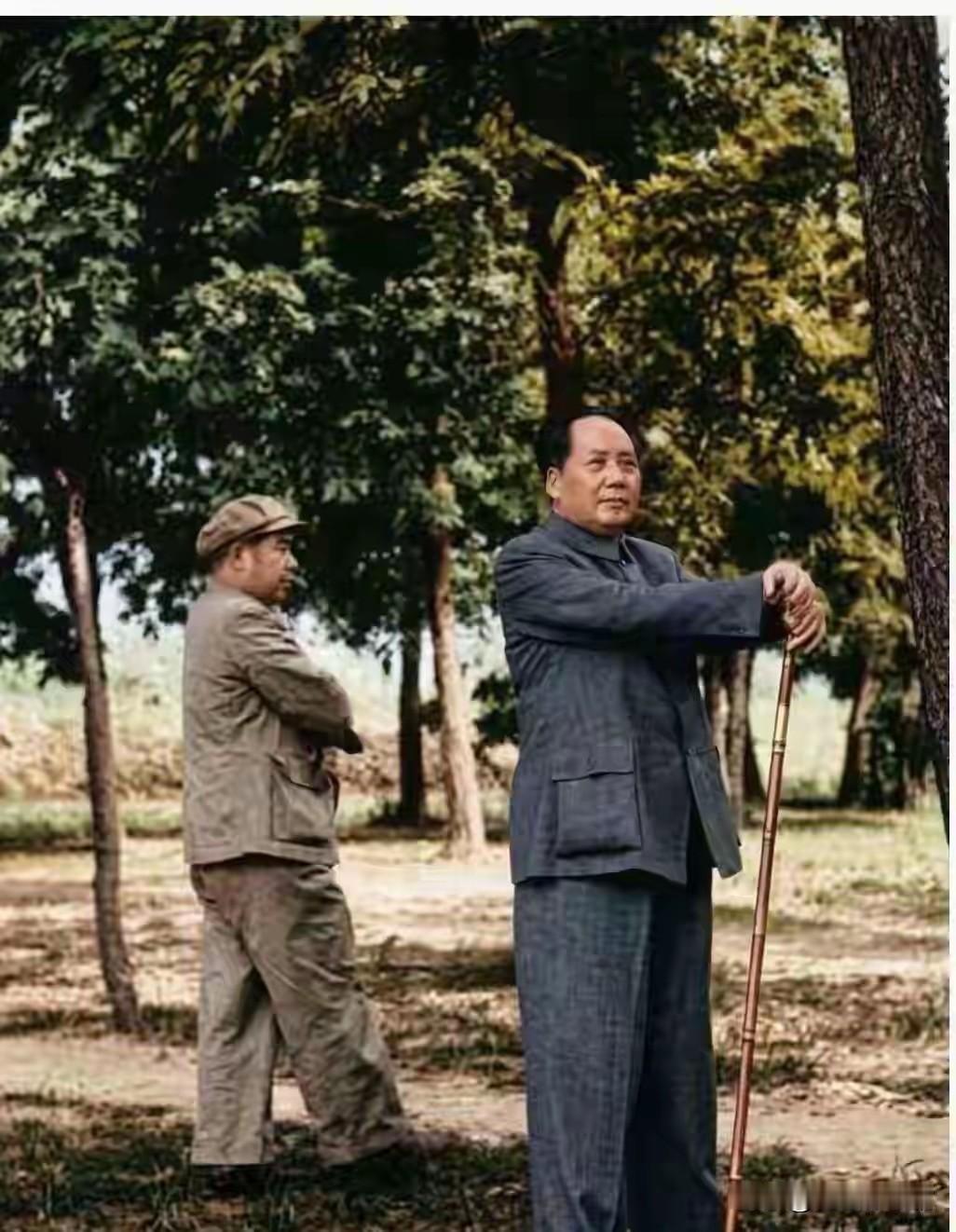 主席的拐杖