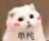 睡前再许愿一波我可以十发入魂抽到婚纱卡和苹果卡[期待] ​​​