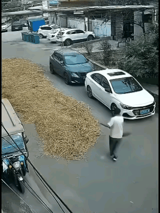 我觉得这样的情况不该怨小车司机，路上压粮食已经明令禁止很多年了，我记得八十年代就