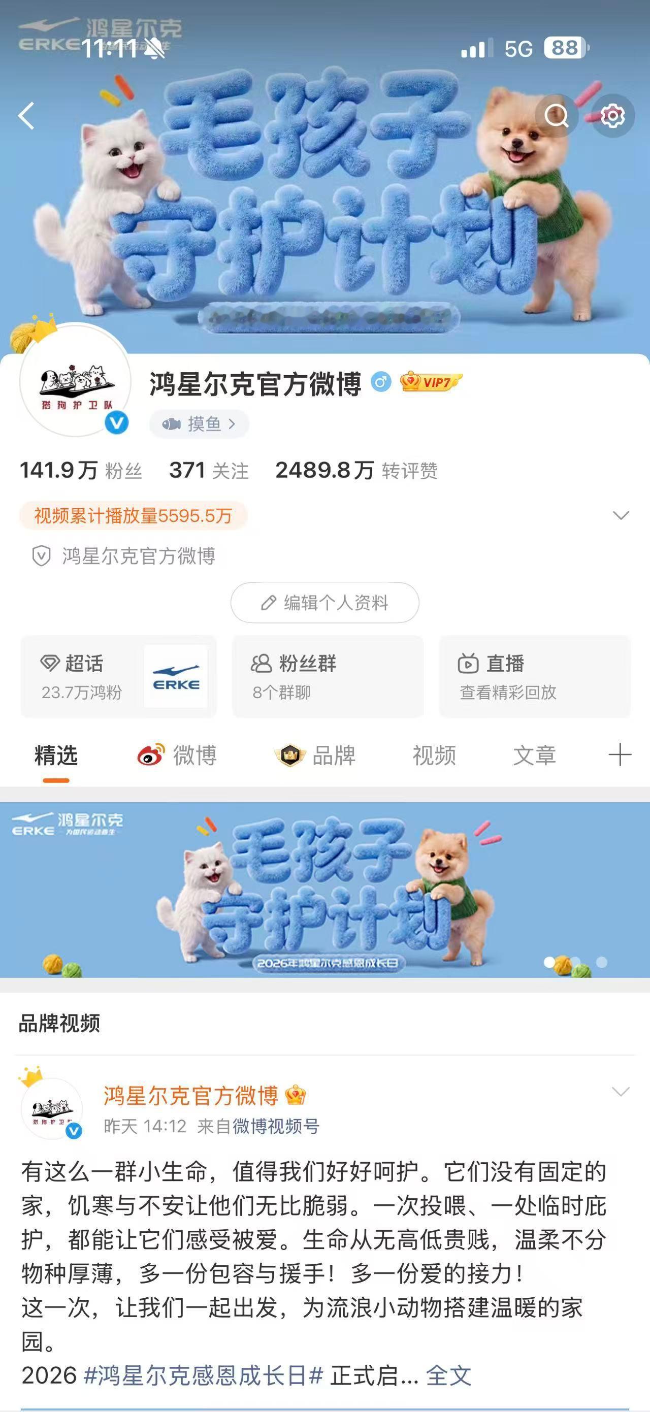 自己一直在养猫，也天生喜欢毛孩子，在小区里遇到流浪的毛孩子都会力所能及的投喂，但