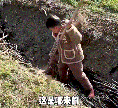 老妈:大胆逆子！