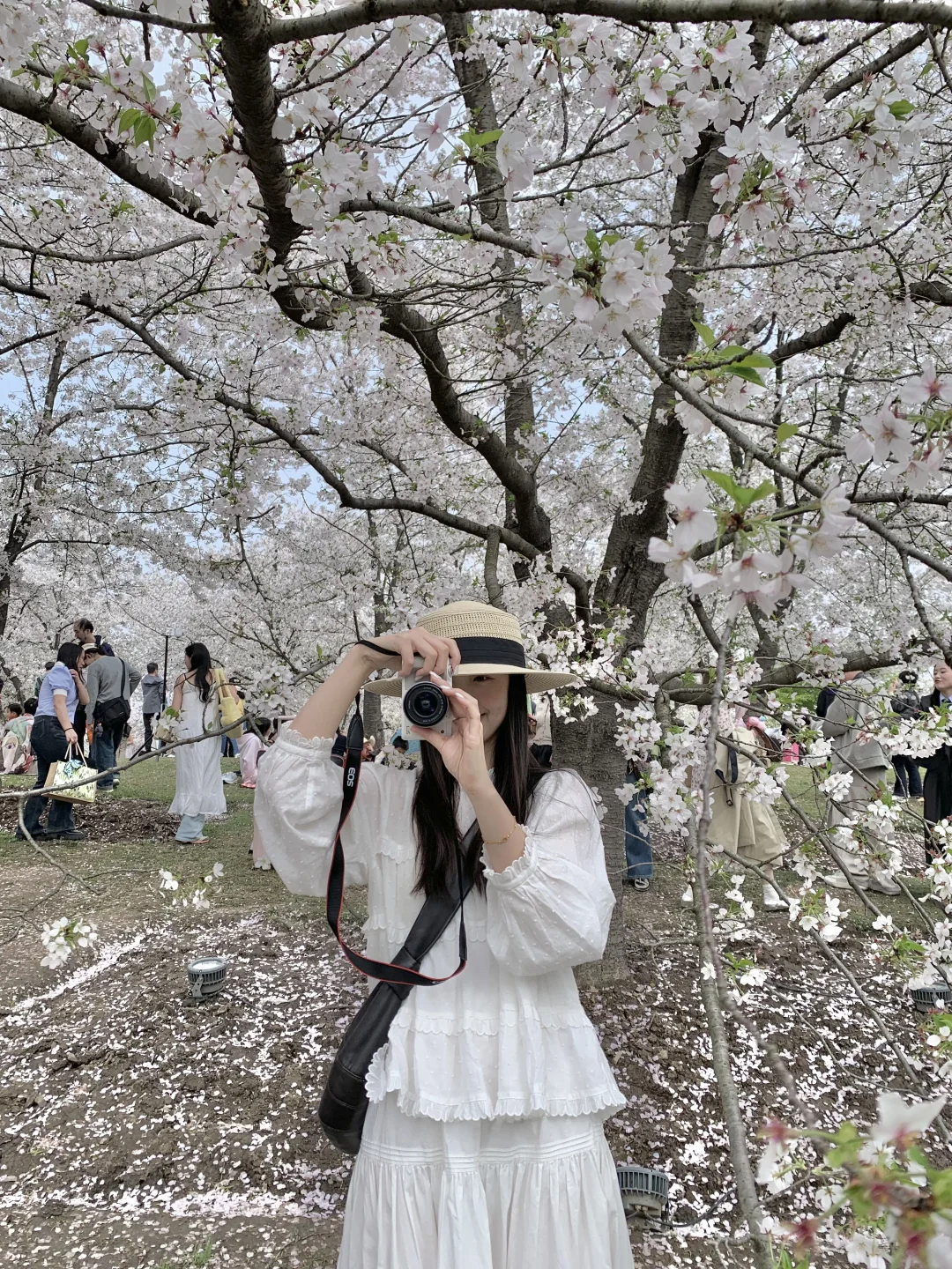 我拍了拍春天🌸