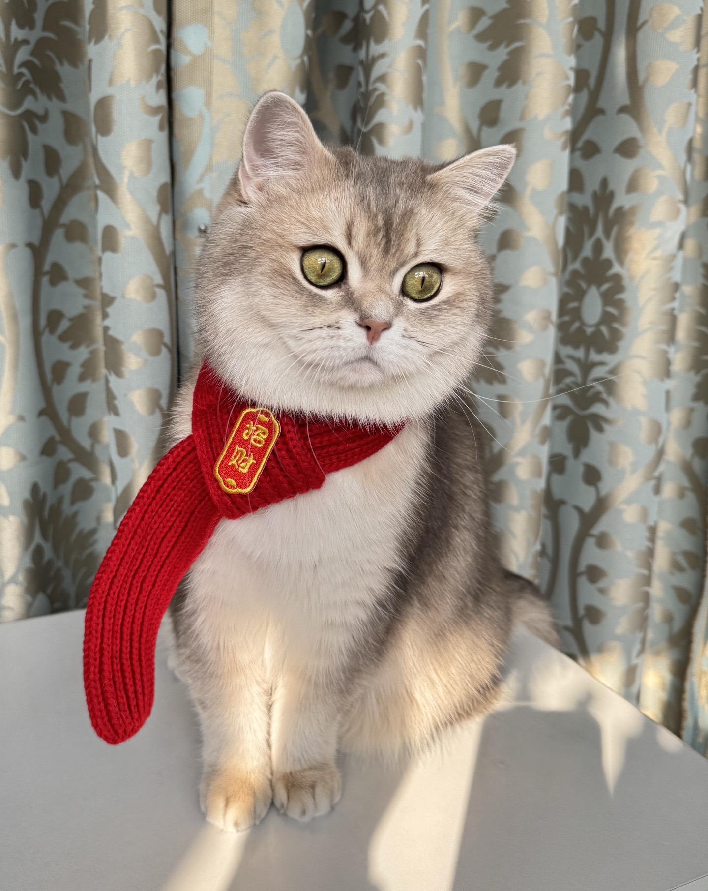 那就祝大家圣诞快乐呀～