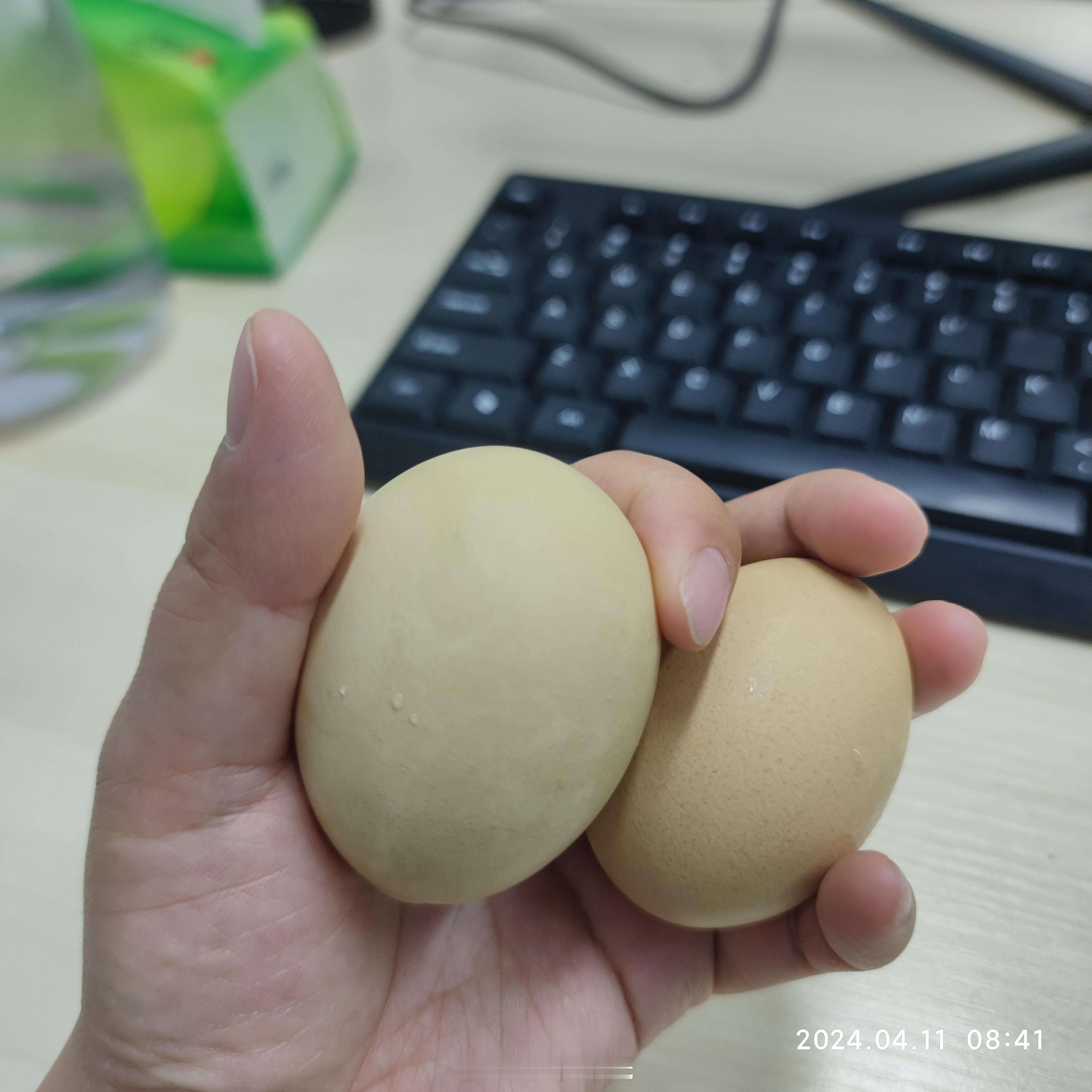 #三月三#今天吃荠菜鸡蛋🥚你们那吃不？ ​​​