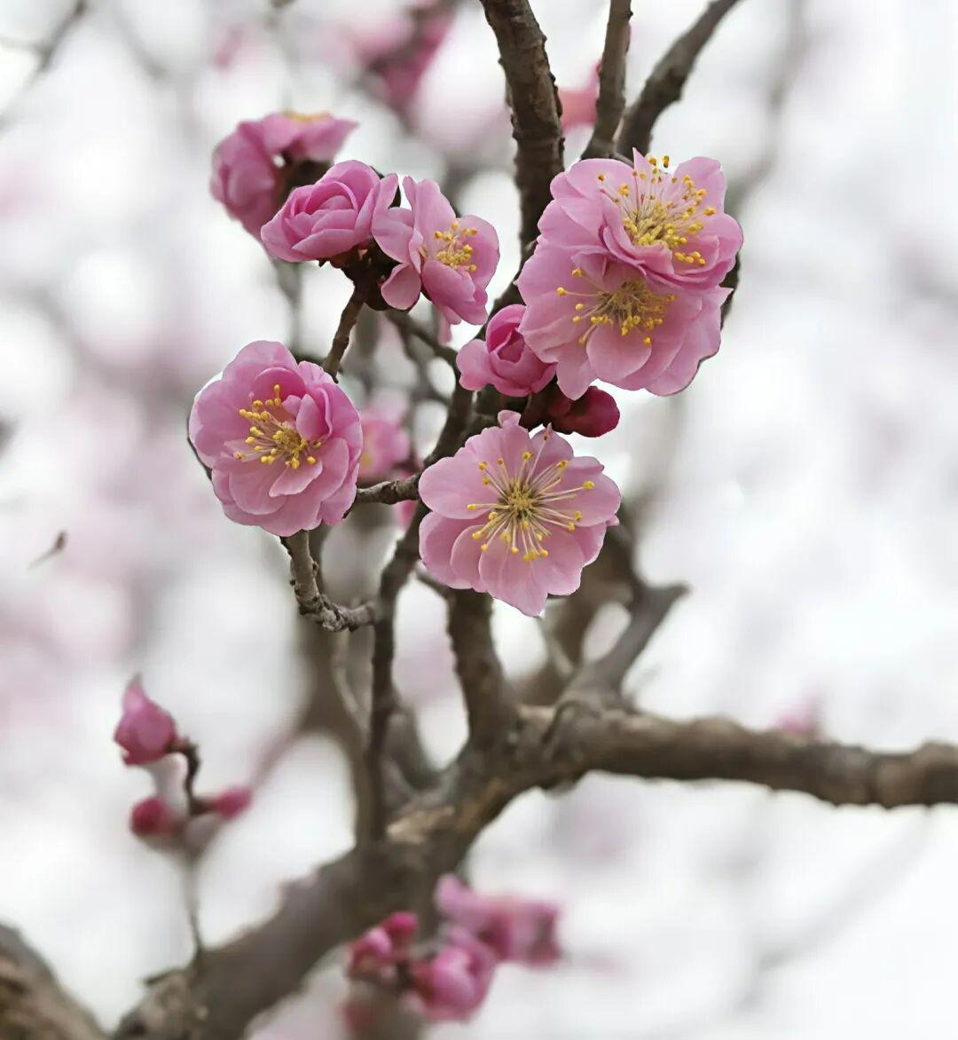 再说了，天气还是有点冷寒潮又来袭了。关键就是太花钱了没有钱怎么办呢？