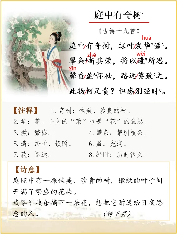 古诗词解析 | 古诗十九首之《庭中有奇树》