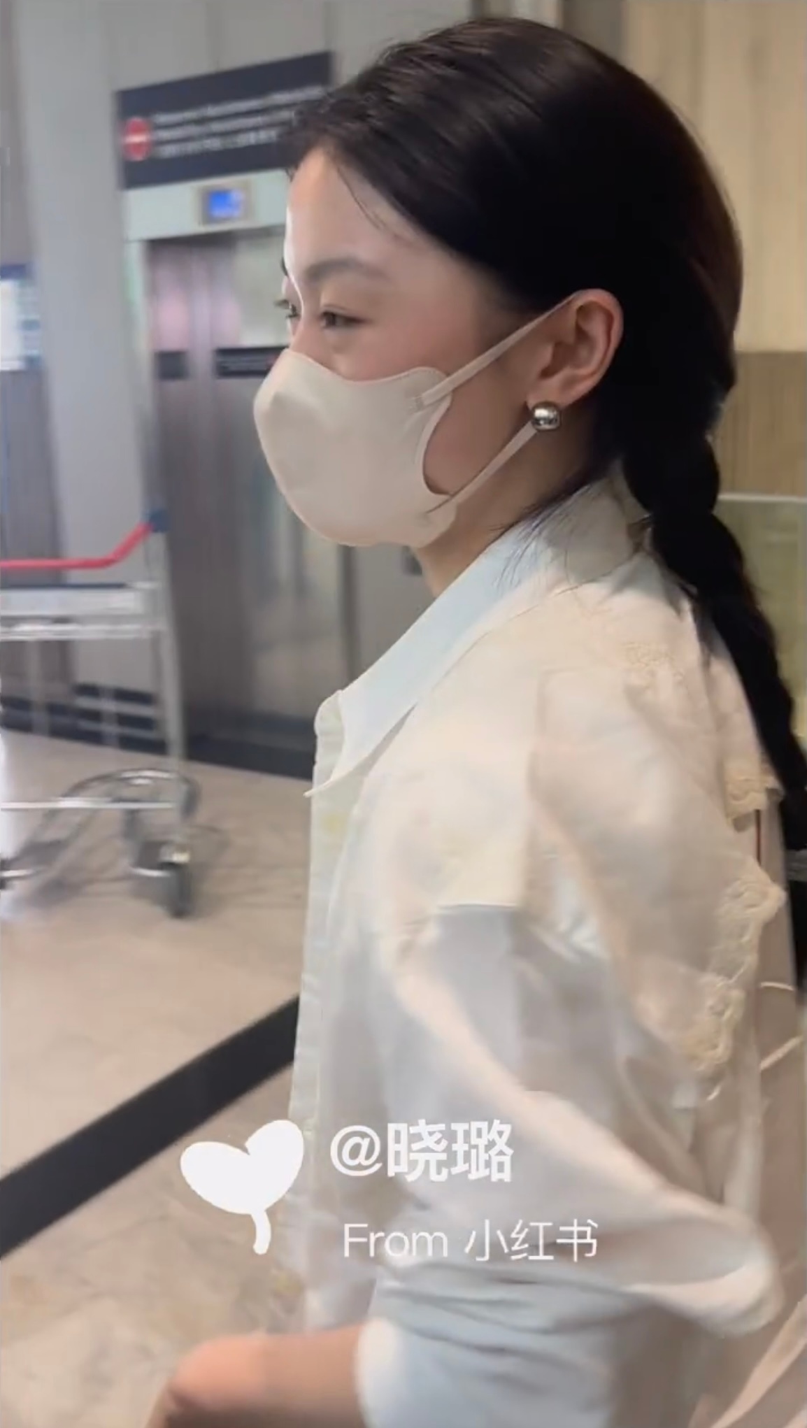 馒头小猪堂堂来袭 