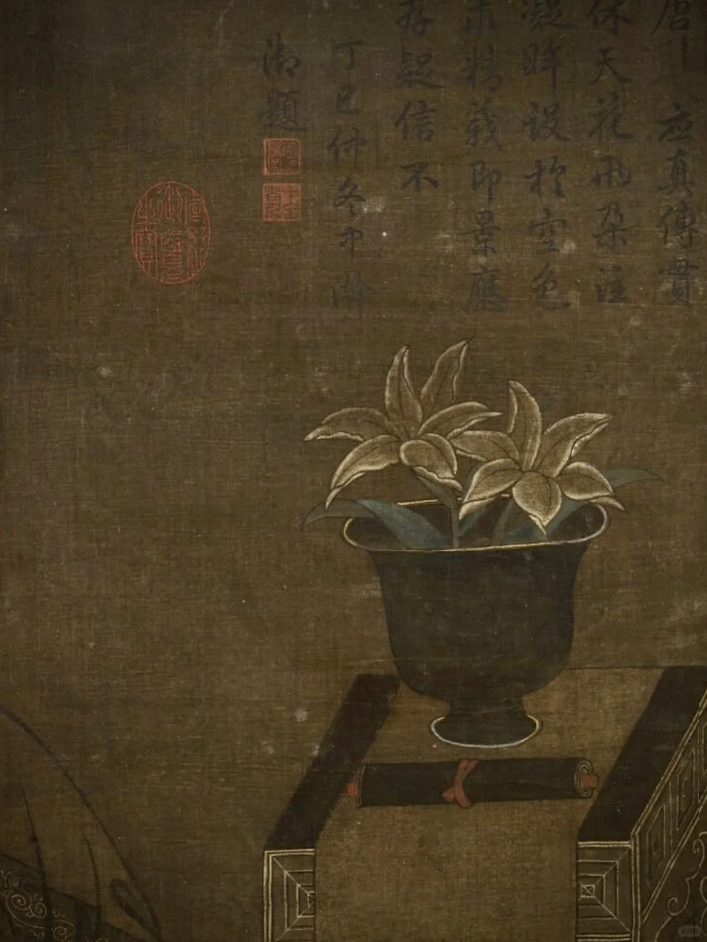 看这些花花草草很松弛