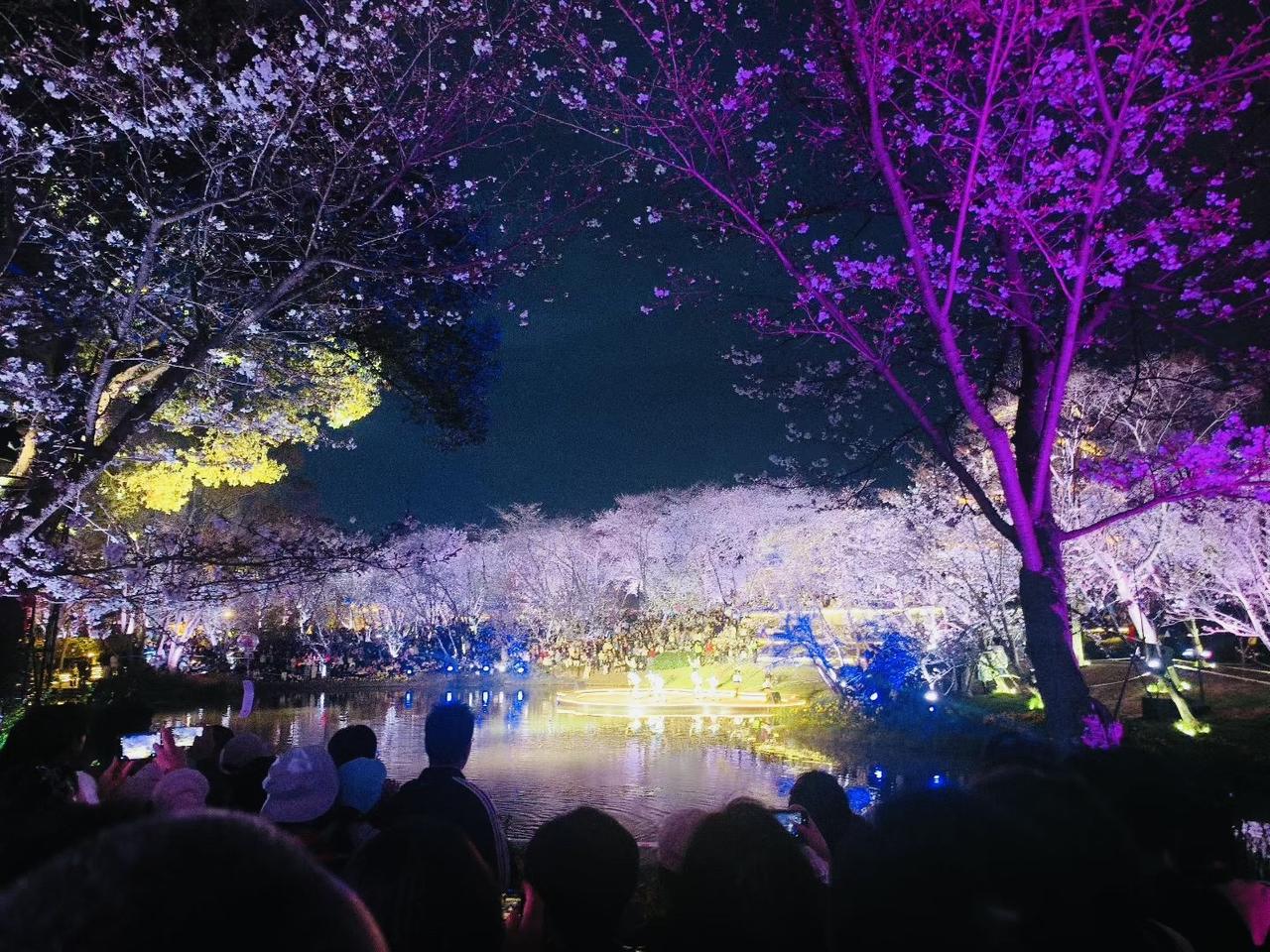 夜赏无锡樱花谷，灯影花潮醉了江南春！[星星眼]

🌃夜幕降临，无锡鼋头渚樱花谷