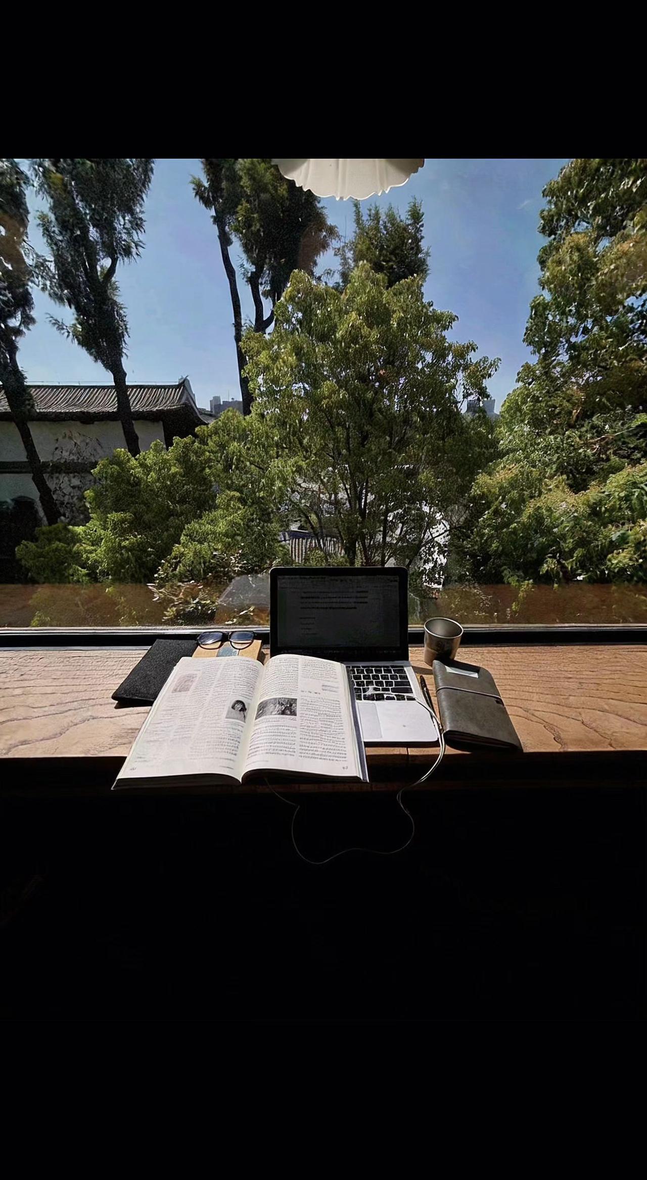 🌿书页翻动着日光，屏幕流淌着星河✨。树影是自然的批注，咖啡是灵感的注脚☕。孤独