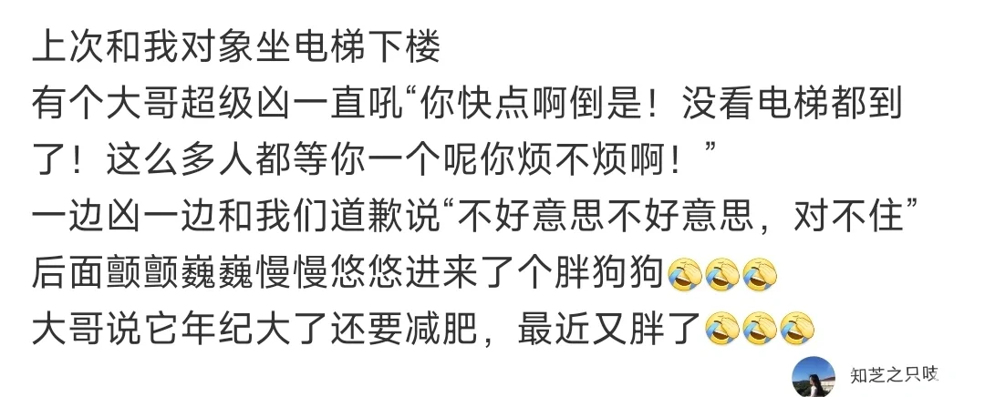 哦是狗子啊，那没事了，气消了