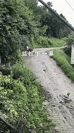 坐车的真利索吧？
三轮车冲出来的那一刻，就已经失去了平衡，无论是路滑泥泞，还是操