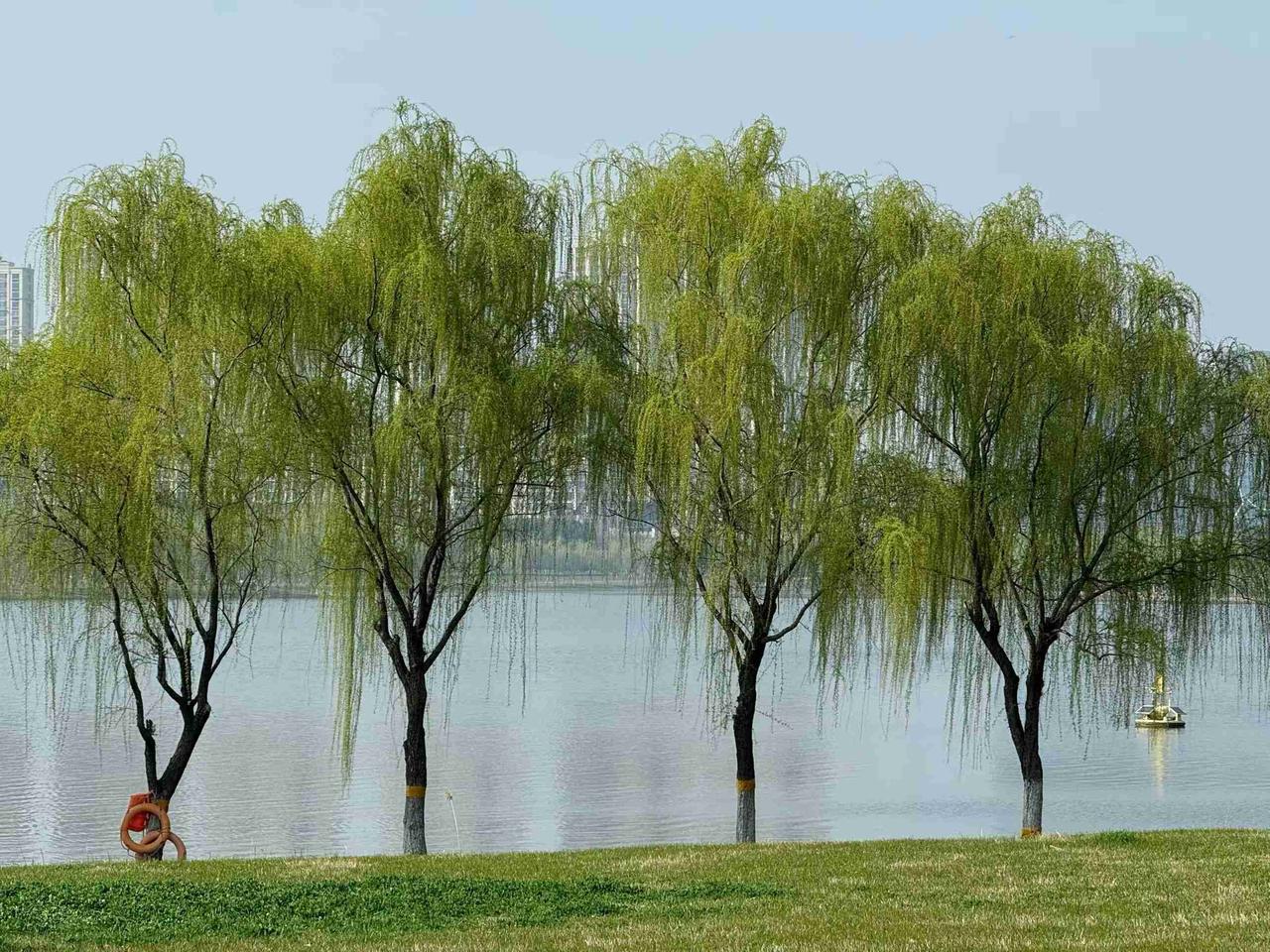 我的今日状态：😁轻松愉快
我这里的天气：☀️晴天