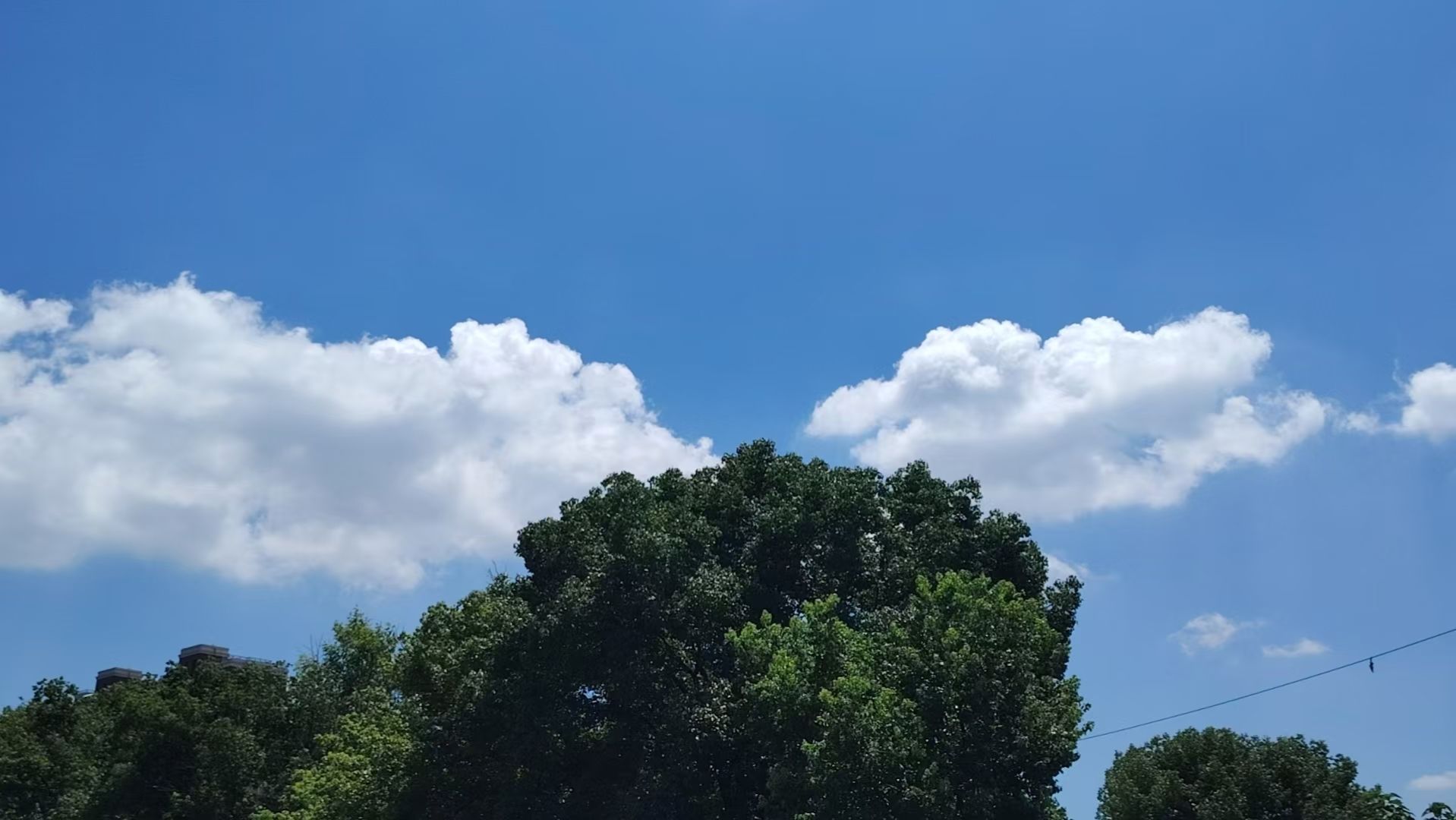 才感盛夏 忽而立秋🍂 