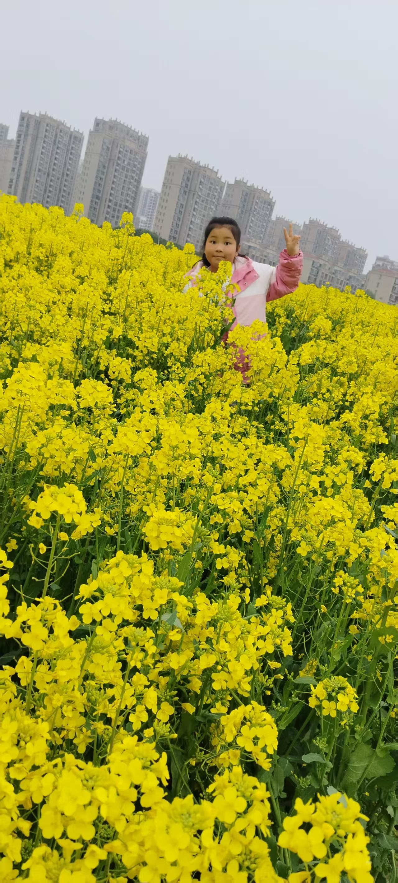走进大自然定格瞬间 往年的旅游记忆 与美景合个影 往年旅游足迹 拍照记录旅游足迹