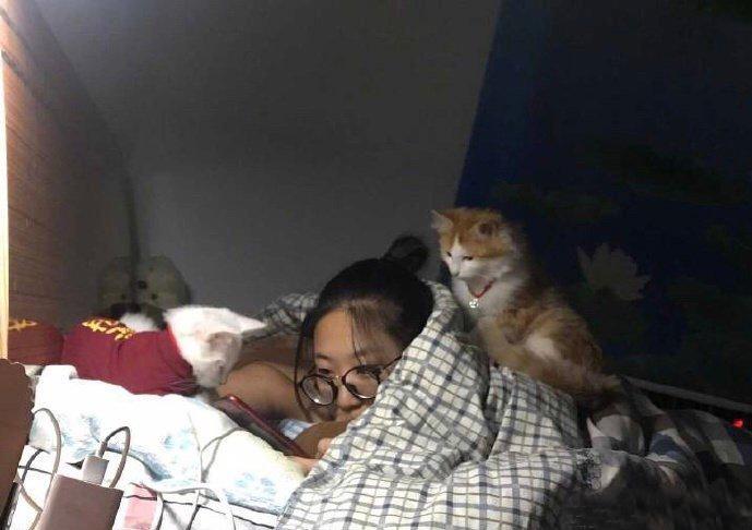 这是要萌死对方吗？