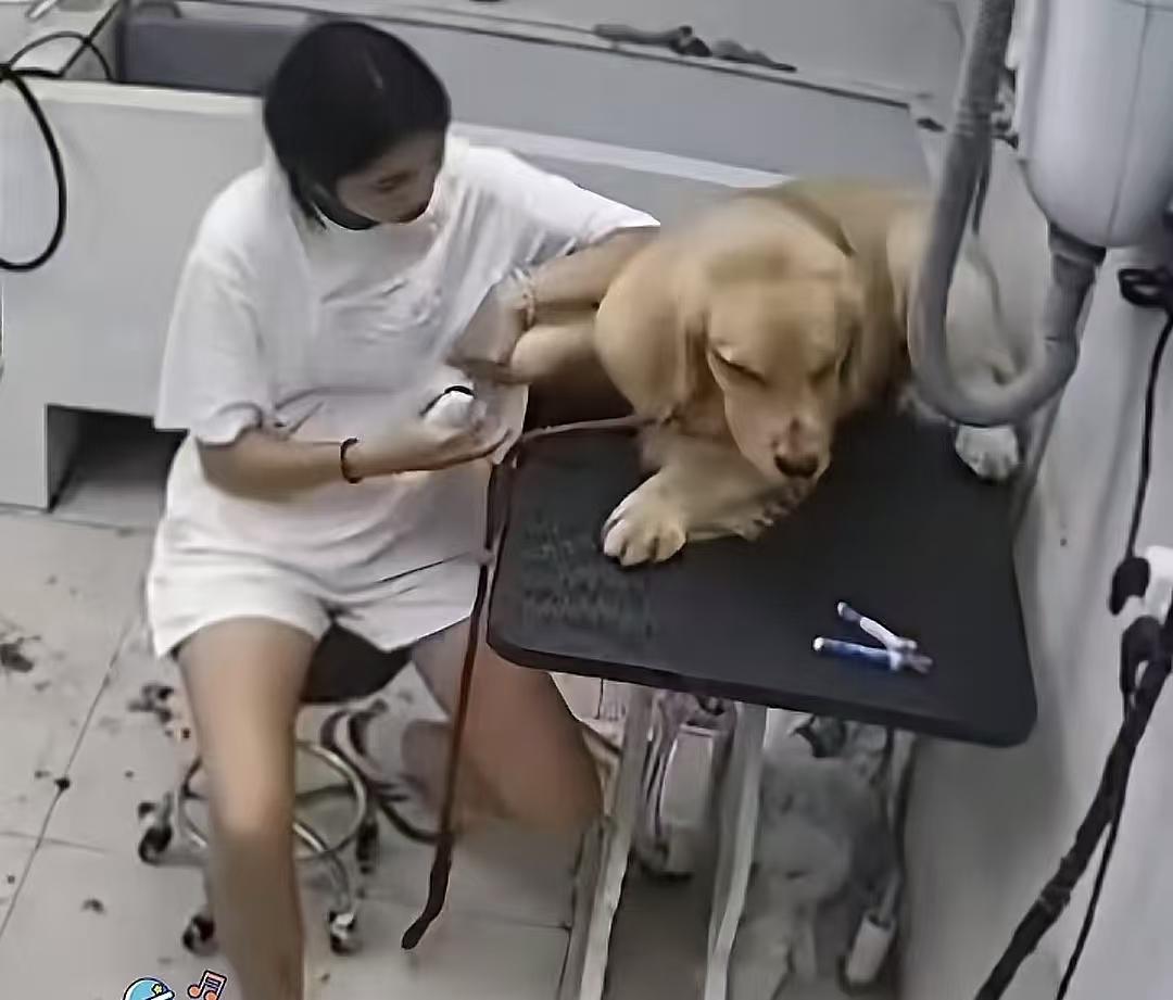 直到看到烧饼的监控录像  
在店员的打骂声里  
我才明白了，这根本不是
普通的