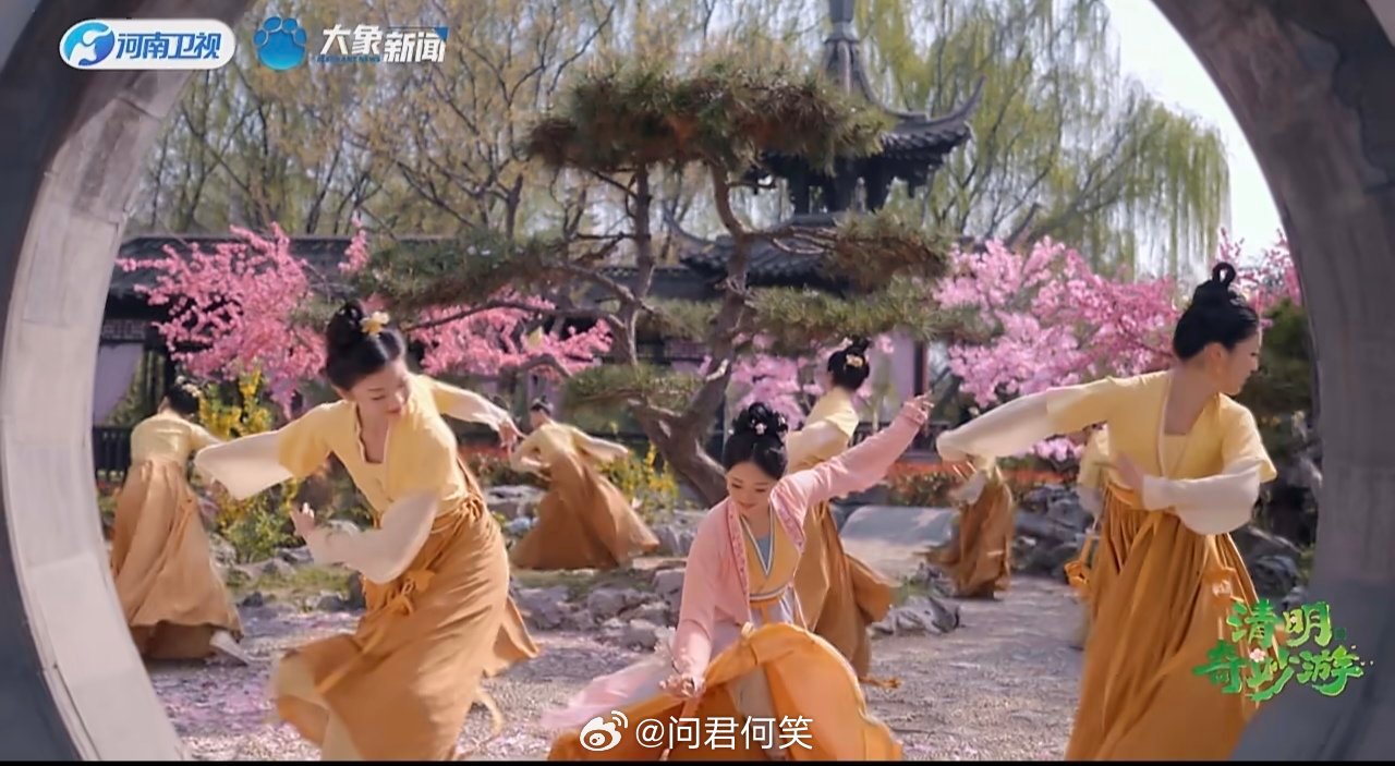 花花花花清明花花花花，河南卫视把春天拍成了少女嬉游图没想到清明也能这么美！少女与
