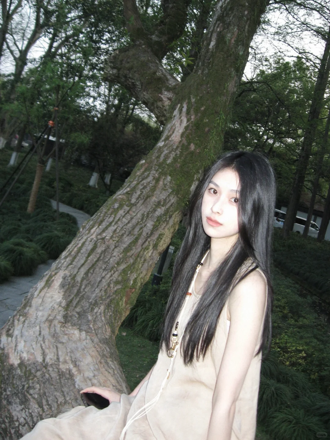 🌳
