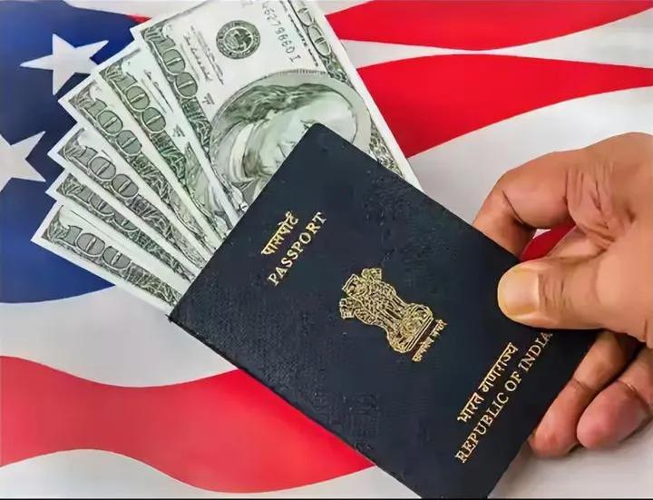 笑不活了！美国玩的这手太狠，加入扒层皮，退出直接刮肉，专割富豪高知的韭菜！主打要