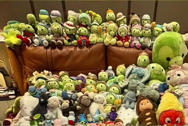 全红婵床上堆满乌龟玩偶：19岁奥运三冠王，为何独宠“慢乌龟”？
 2026年3月