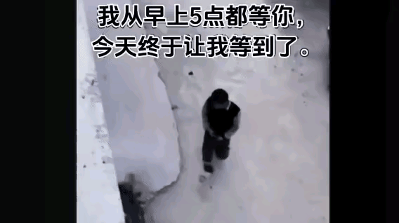男子长期在楼下随地小便，楼上住户忍无可忍泼水报复，把人全身浇湿。随地小便有错，但