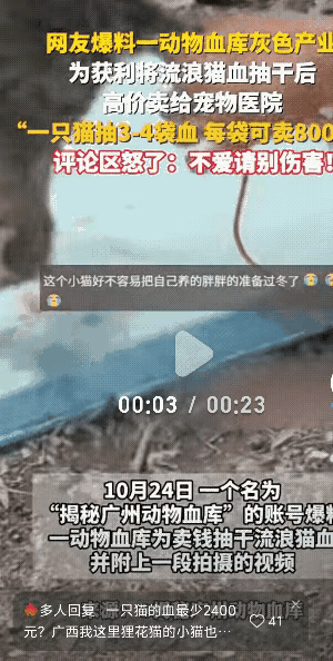 太可怜了！”一动物血库为了卖钱抽干流浪猫的血，一只猫咪抽3~4袋，每袋可卖800