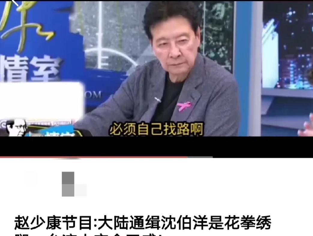 赵少康节目说立案调查沈伯洋是花拳绣腿，一点意义都没有，台湾人根本就没有感觉，也不