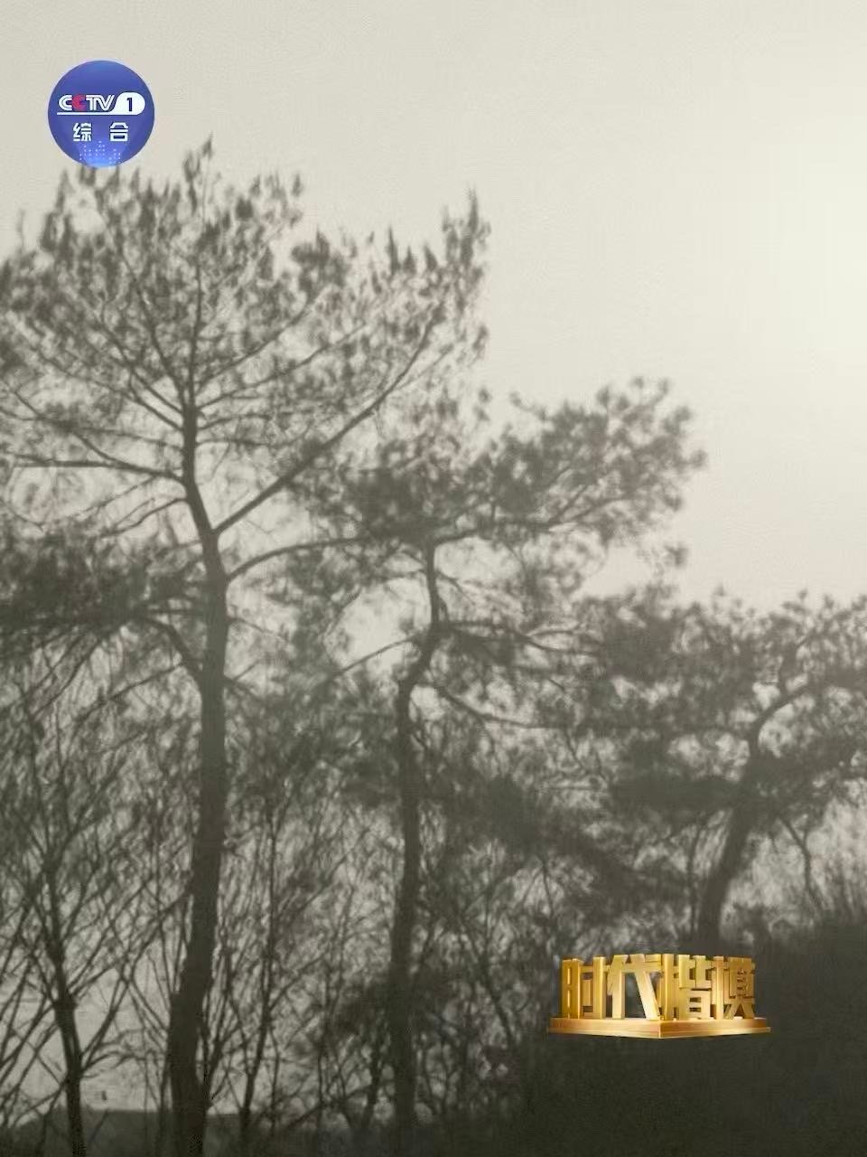 刘老庄连82人无一人生还他们打光子弹用牙齿当武器 当最后一颗子弹射出，牙齿成为八
