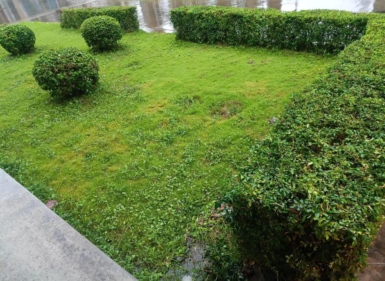 珠海的這場暴雨，頑固的傾洩了幾個小時了，不知道又有多少車遭了殃，地下停車場應該是