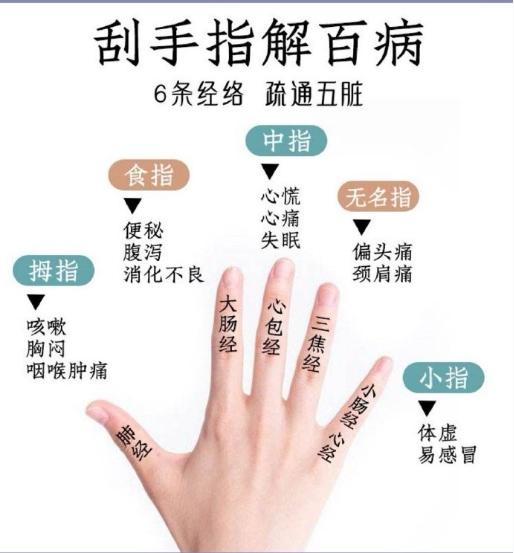 手指上的“功夫”不能小看，手部有6条经脉循行，与身体的各个脏腑有着密切的关系，所