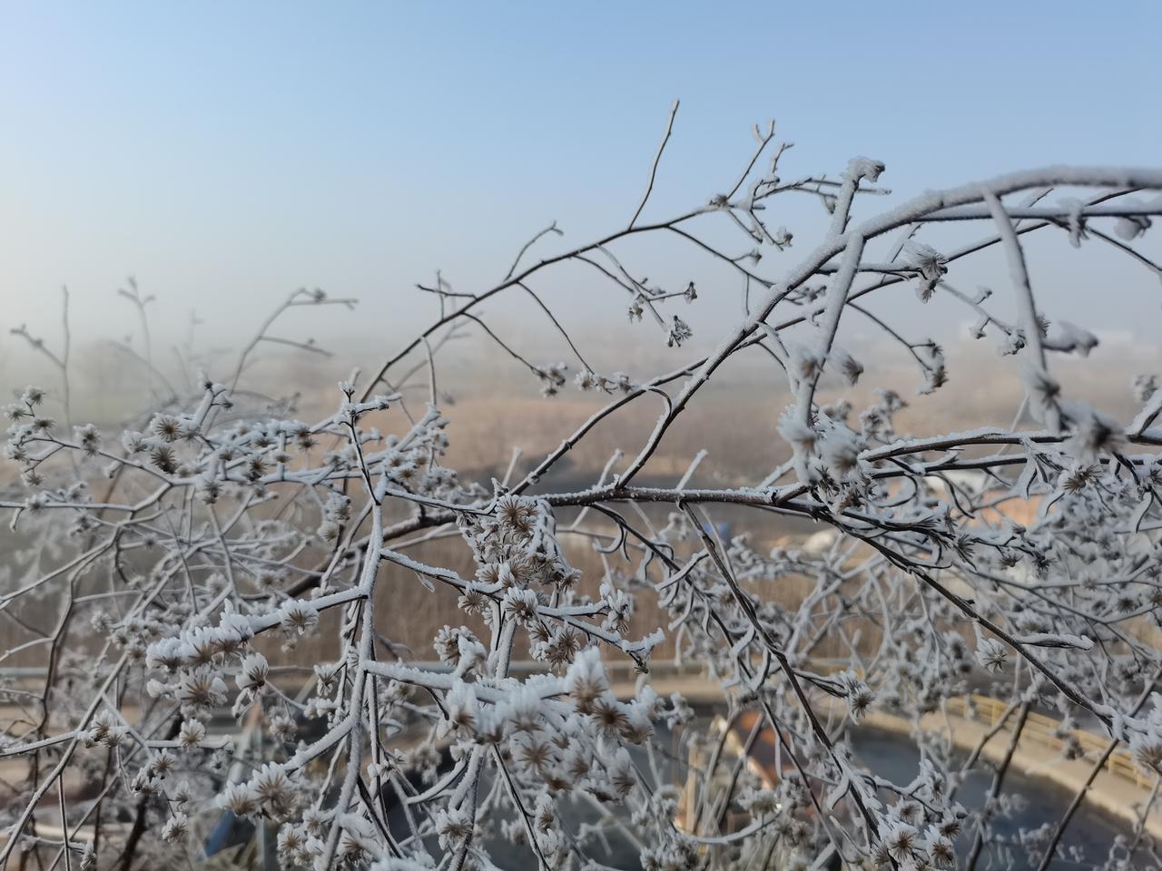 孩子的家不是自己的家，要摆正位置
退休后在子女家会感觉不自在吗

有多少老人，住