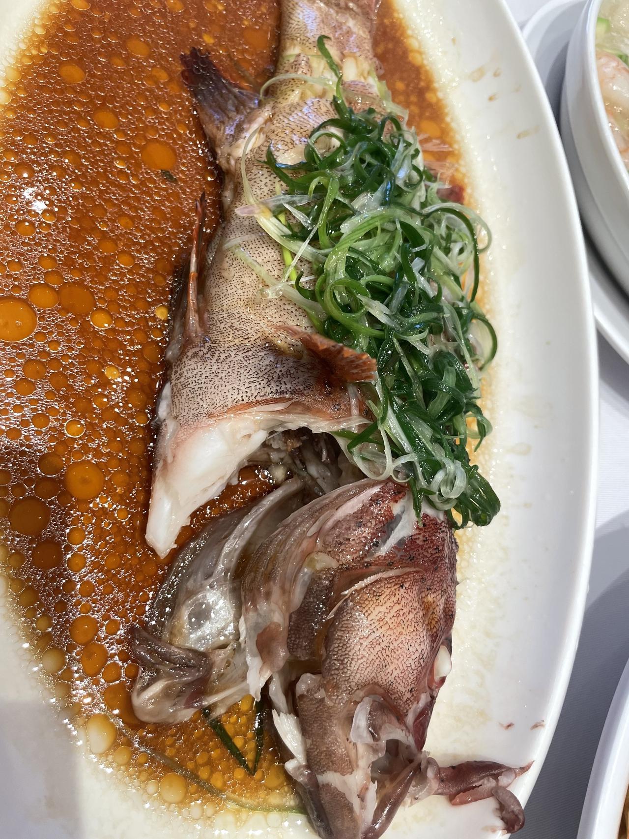 美食 粤菜 清蒸鱼 美食分享 美食探店