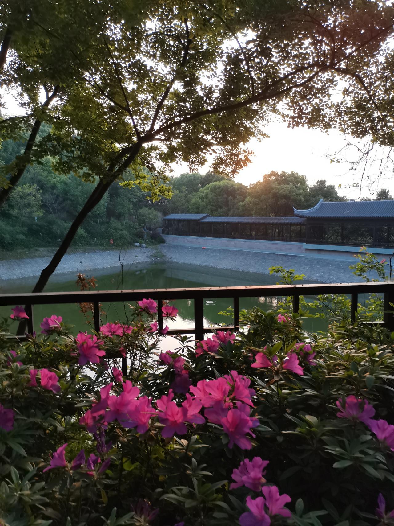 半天过去下了两趟楼。
一趟去小区里剪了刘海花费5元，
一趟下去拿外卖花费20.3