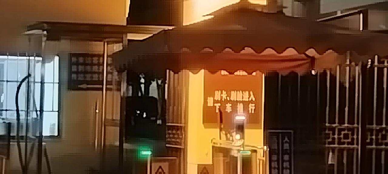 市政府办公楼后门。