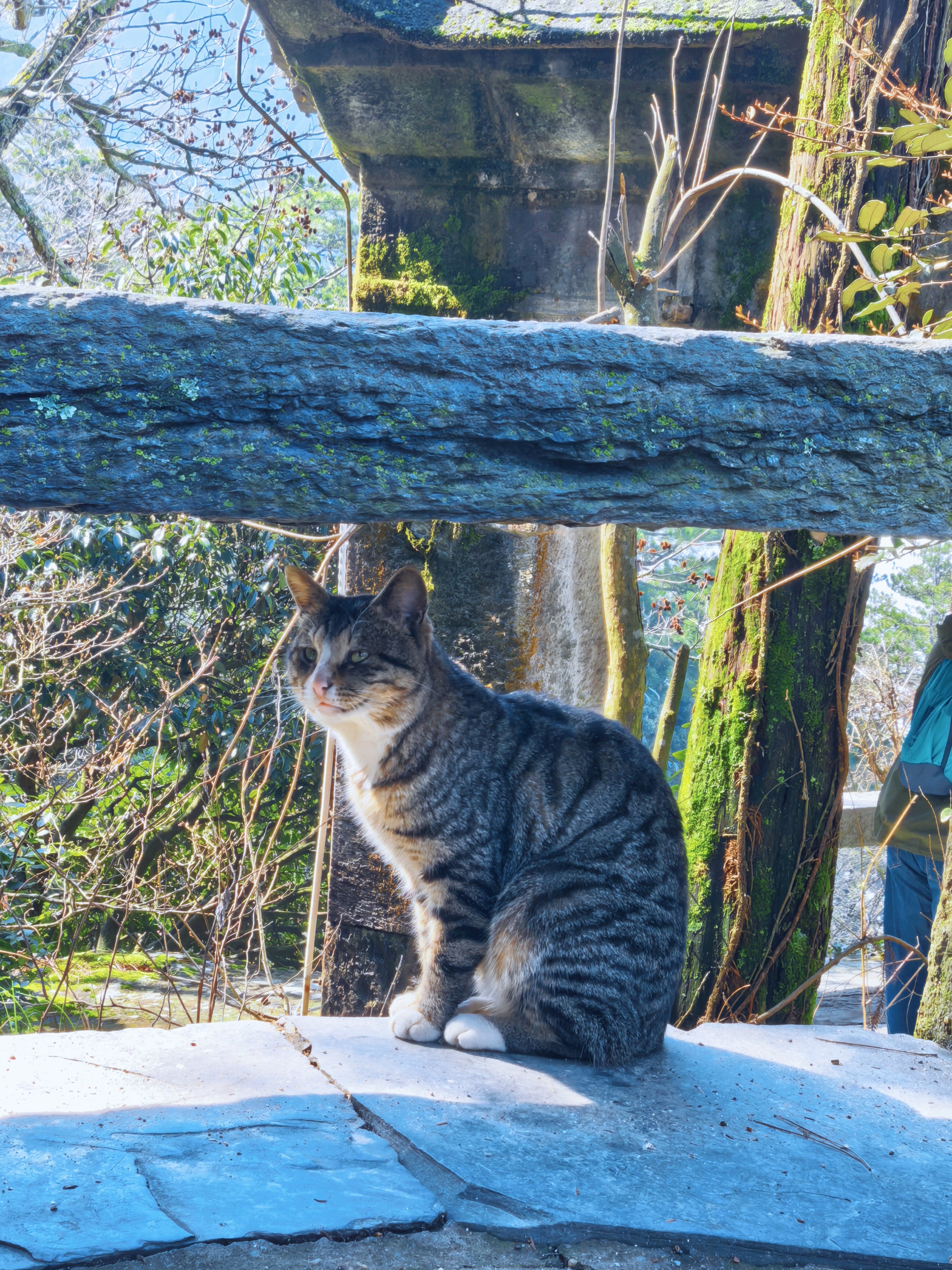 来庐山指指点点 九江·庐山大天池