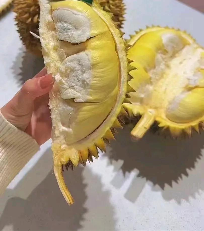 不知为什么？
最近泰国进口的金枕榴莲便宜多了！
这么好的卖相才十几块一斤。
比原