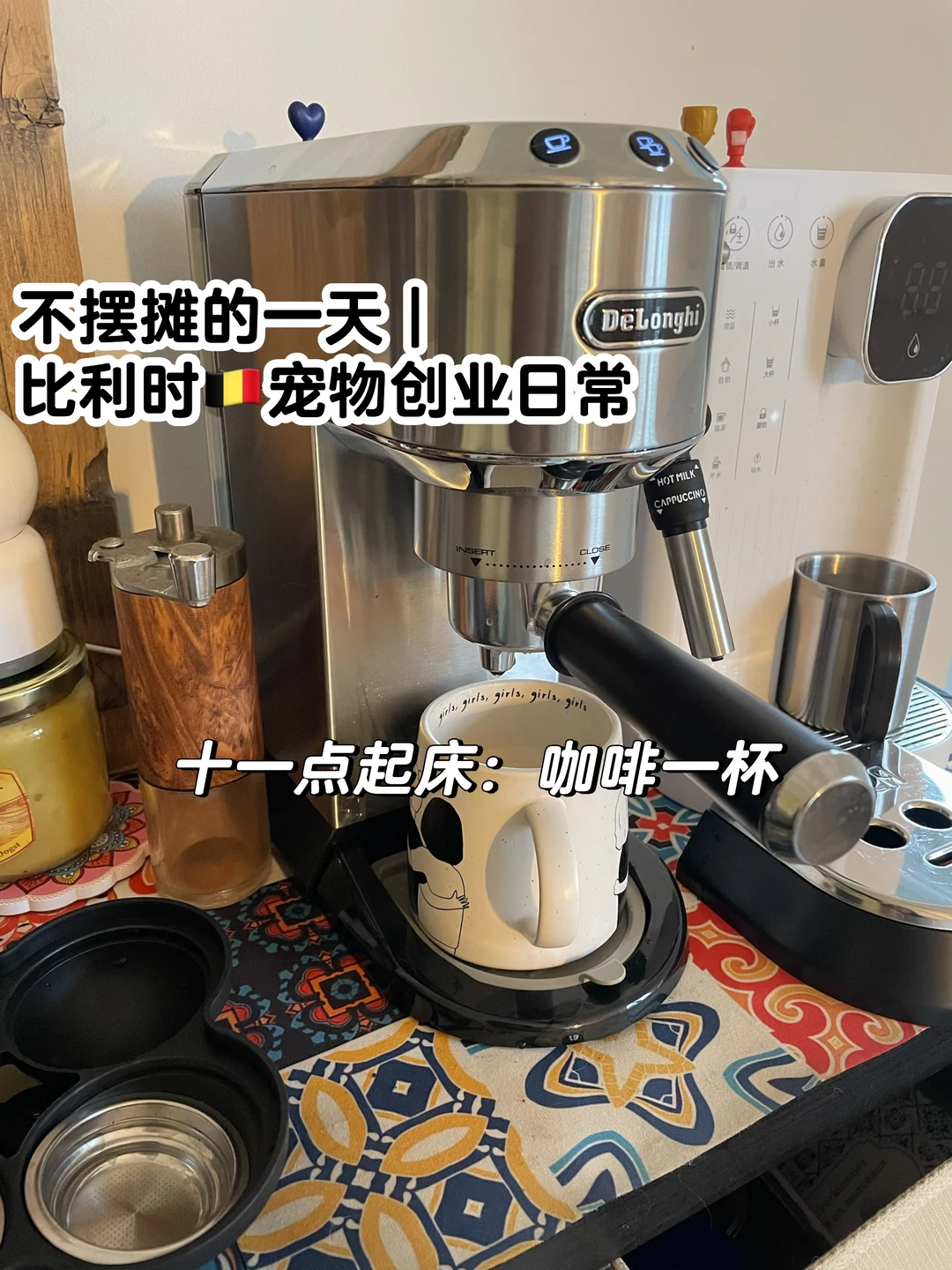 「比利时🇧🇪宠物创业日常」|在家工作的一天